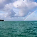Pig Beach 6 Hours Tour On Cat Phoenix 777 No Sleep On The Boat